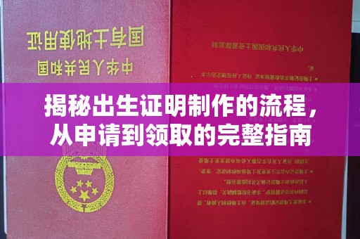 蒙城揭秘出生证明制作的流程，从申请到领取的完整指南